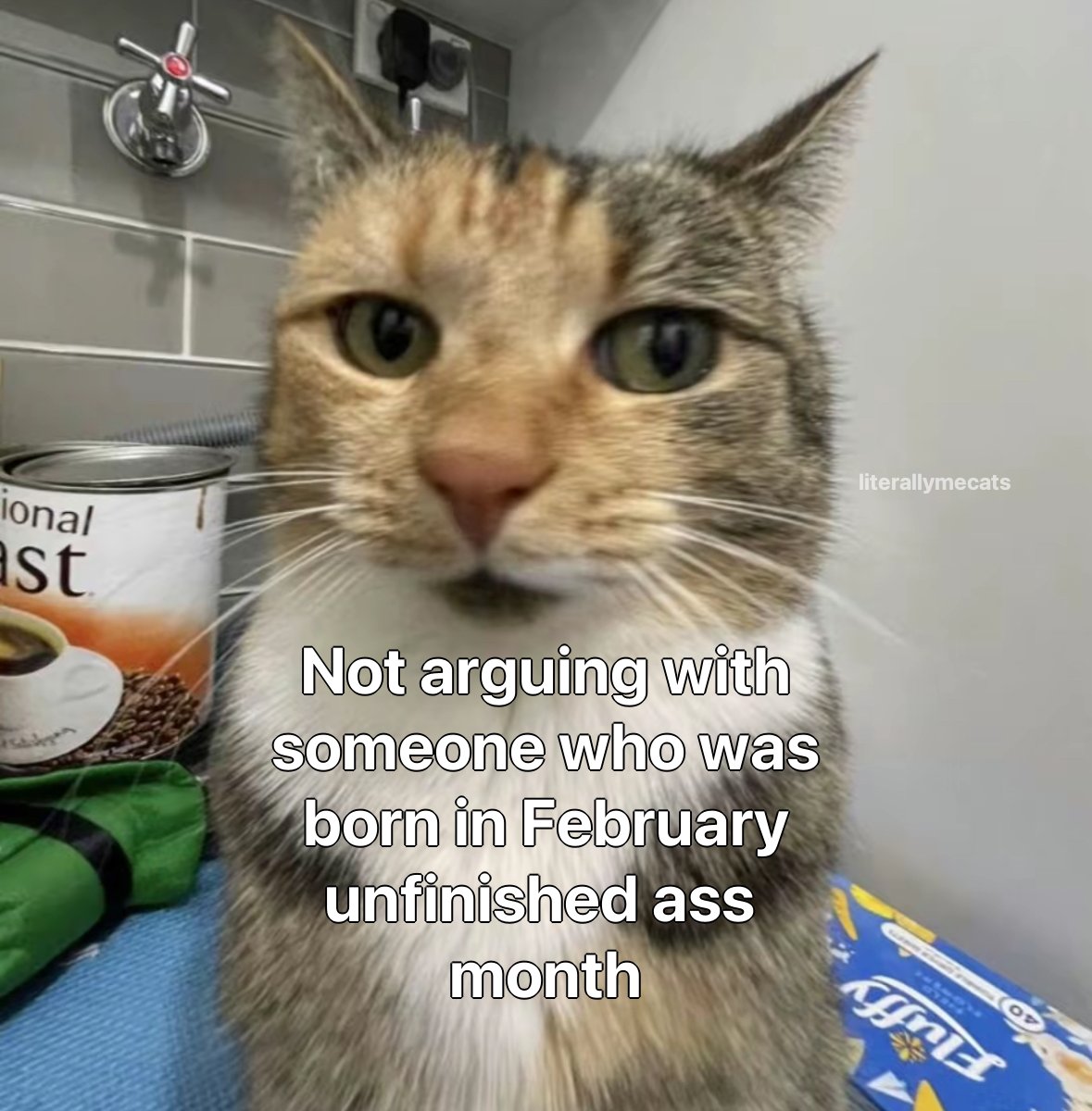 literallymecats's tweet photo. https://t.co/M3JLaTuZfg