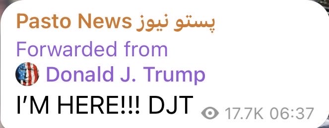 dozam_92's tweet photo. I’M HERE!!! DJT https://t.co/oVewFdXS8H