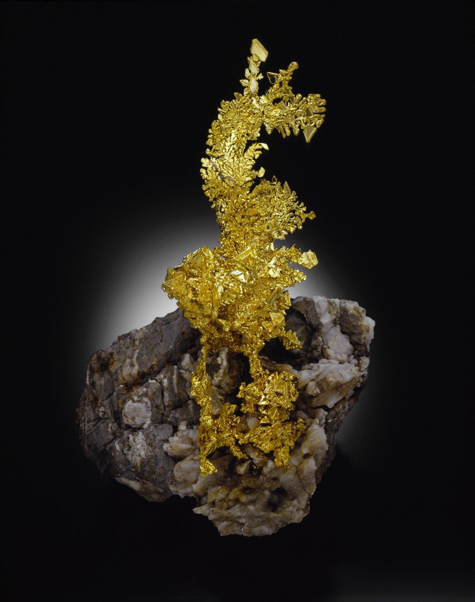 LLD East Coast Mineral Shows tweet media