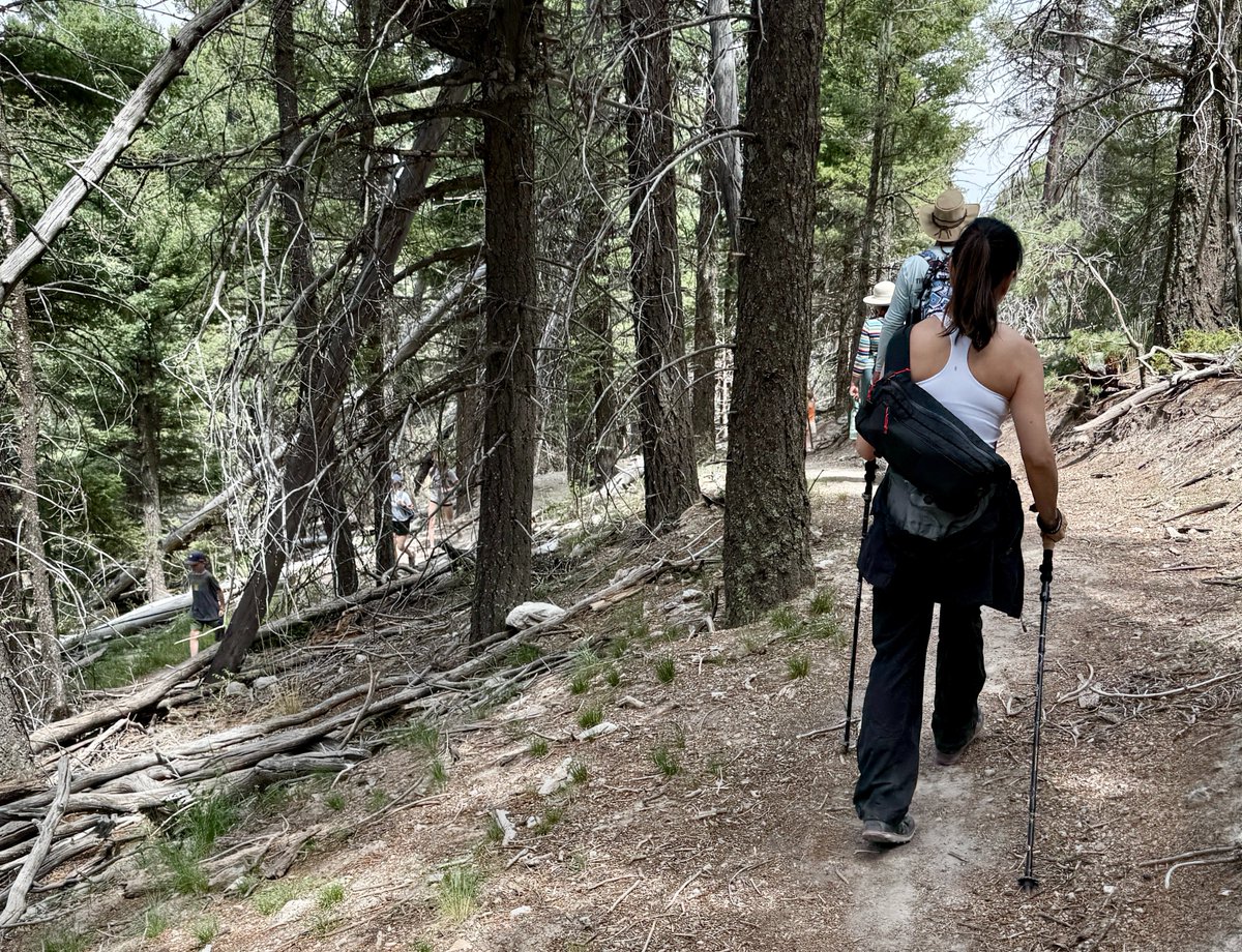 whatwherewhocom's tweet photo. Took the Foxelli trekking poles on the Enlightenment Trail in Angel Fire. Loose, gravelly sections near the top — poles stopped a couple of slips before they happened.
Had them for months. Fold down small, one lock per pole, under a minute to set up. At $42 they're hard to beat.
Full review → https://t.co/Gua6W3mHg5
#HikingGear #TrekkingPoles #AngelFireNM #GearReview