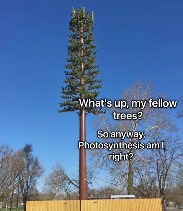 nocontextmemes's tweet photo. https://t.co/hPNUbc3paU