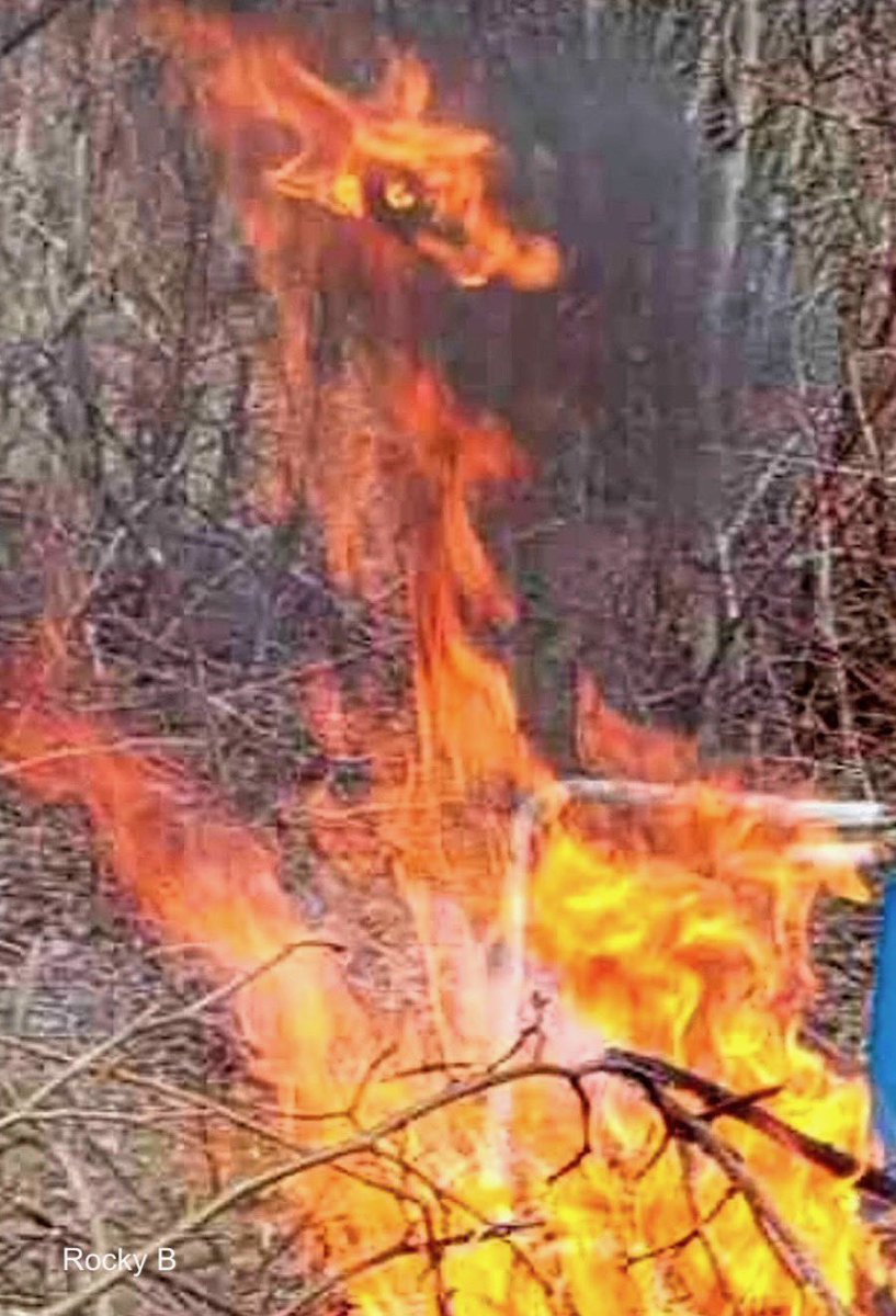 MrMBB333's tweet photo. DRAGON-LIKE SHAPE RISES FROM THE FLAMES

A wildfire in Canada briefly created a fiery silhouette that’s leaving people doing a double take.

Captured by Rocky B. via MrMBB333 

👇 Dragon, snake… or just an incredible trick of the flames?

#MrMBB333  #Wildfire #Dragon https://t.co/LB9zktkaWM