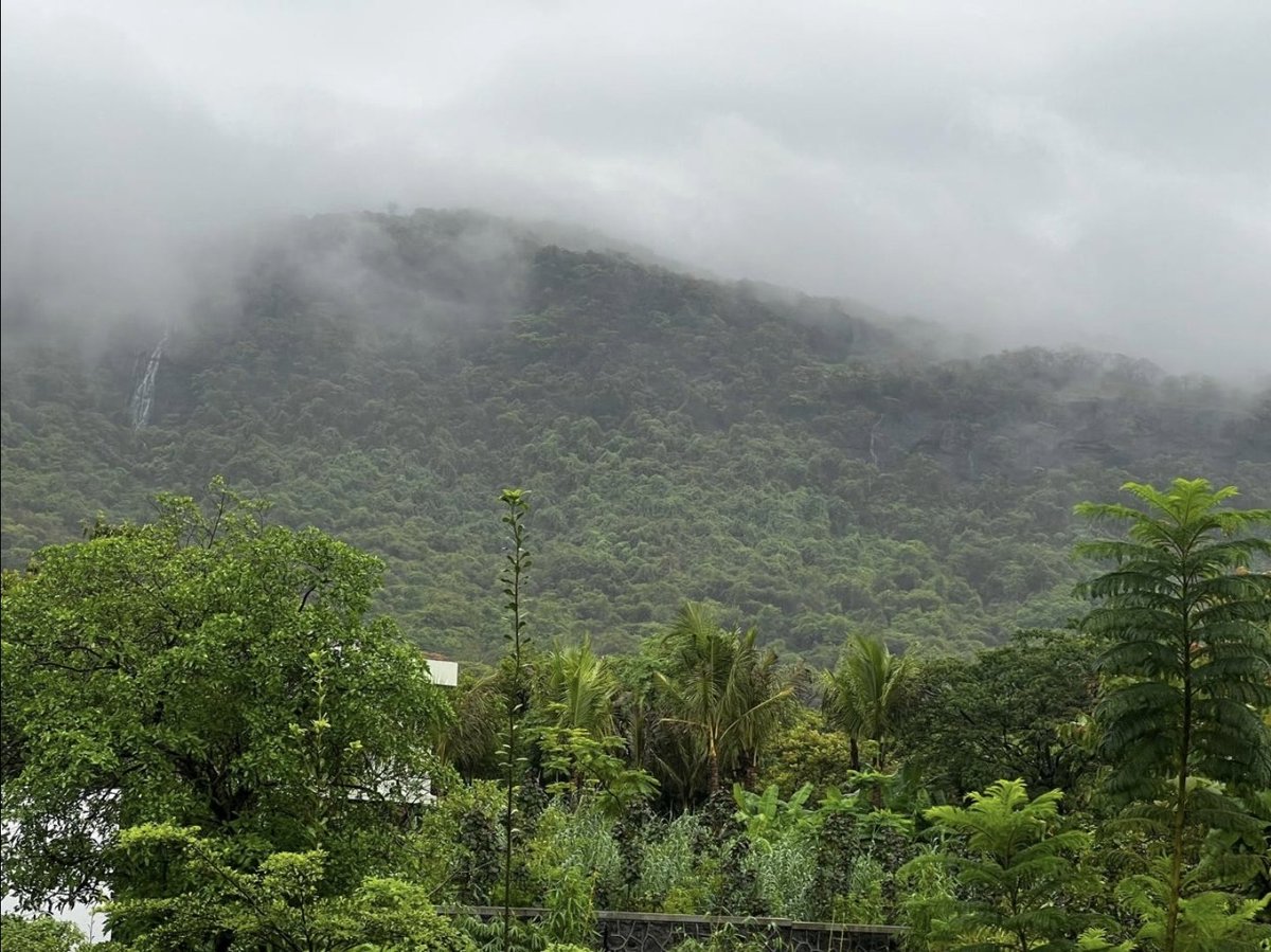 UTobyM's tweet photo. Monsoon in the Sahyadris. Hyper-oxygenated weekend.
#IncredibleIndia 🇮🇳 https://t.co/x8HEKhfH54
