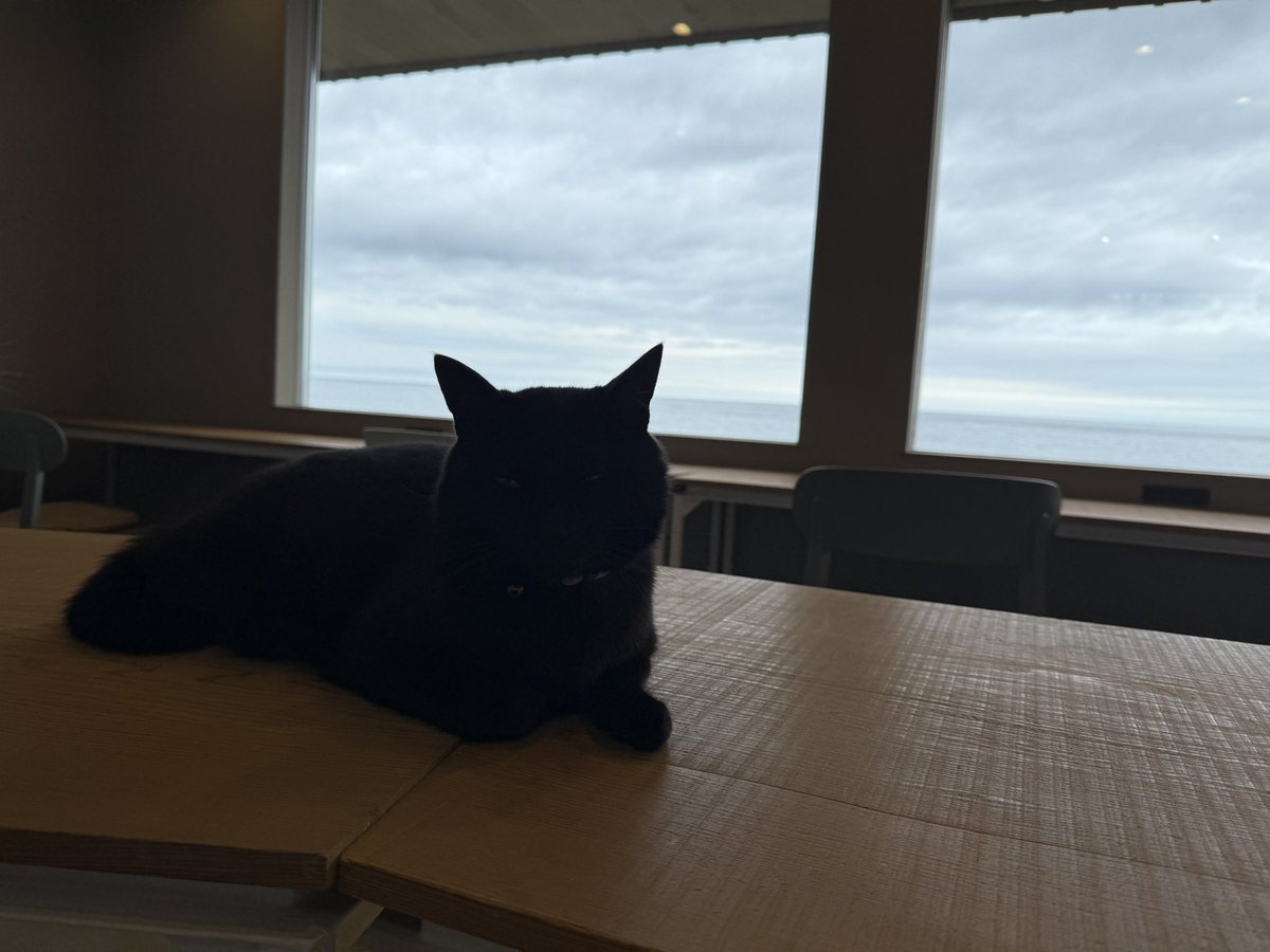 ud_fibonacci's tweet photo. ワーケーションすぎる。最高🐈‍⬛ https://t.co/8UYYeIReCx
