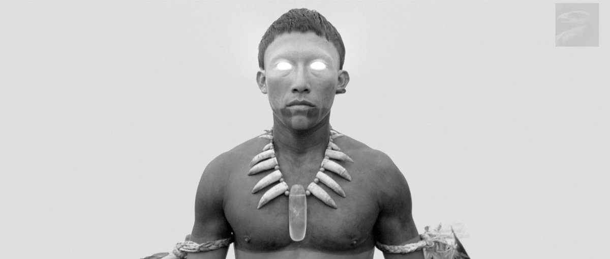 retrofilmm's tweet photo. EMBRACE OF THE SERPENT
(2015, Ciro Guerra) https://t.co/isHfOGfNqE