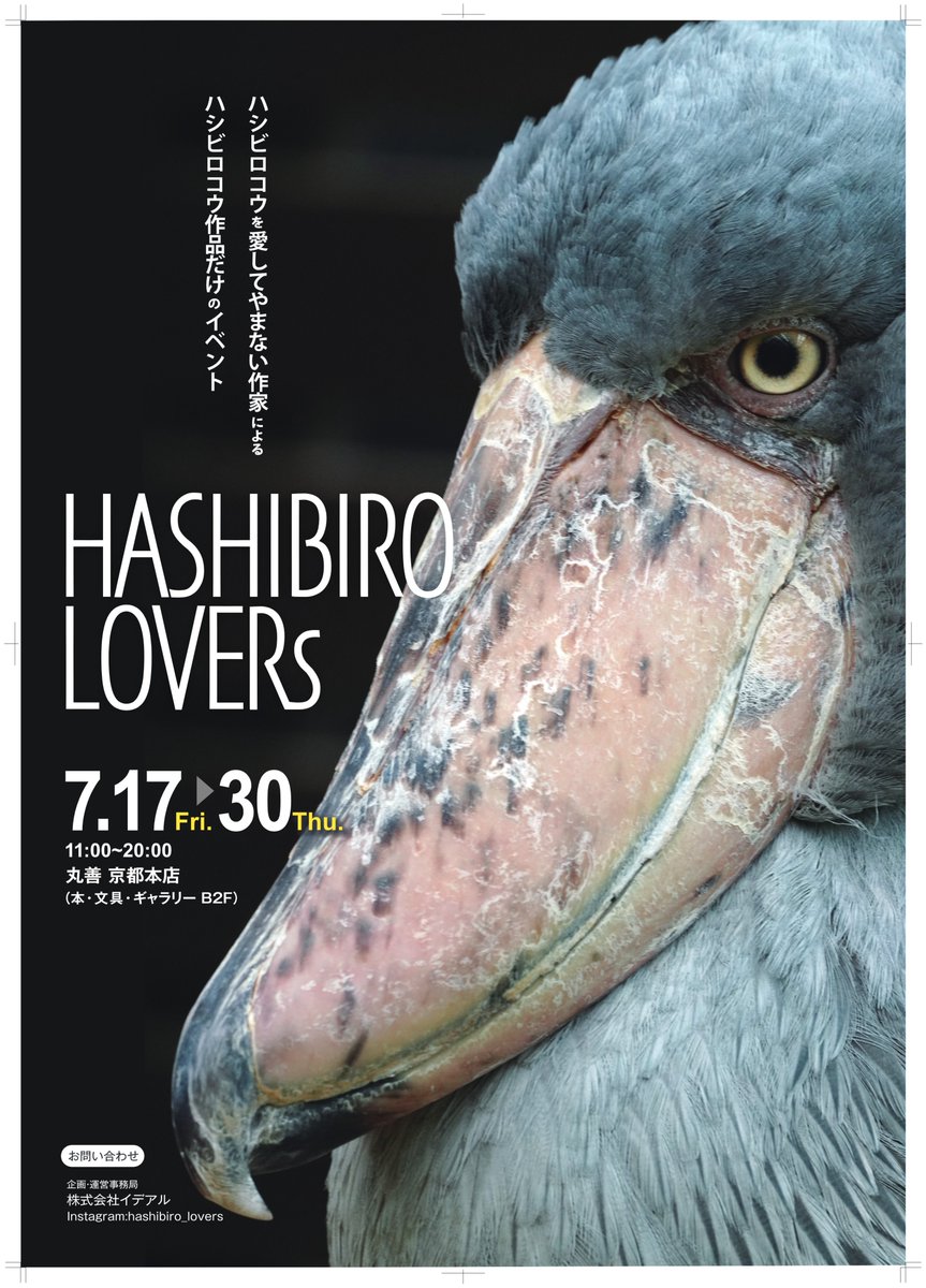 予告【HASHIBIRO LOVERs 展】 会期：7/17（金）～7/30（木） ※最終日16