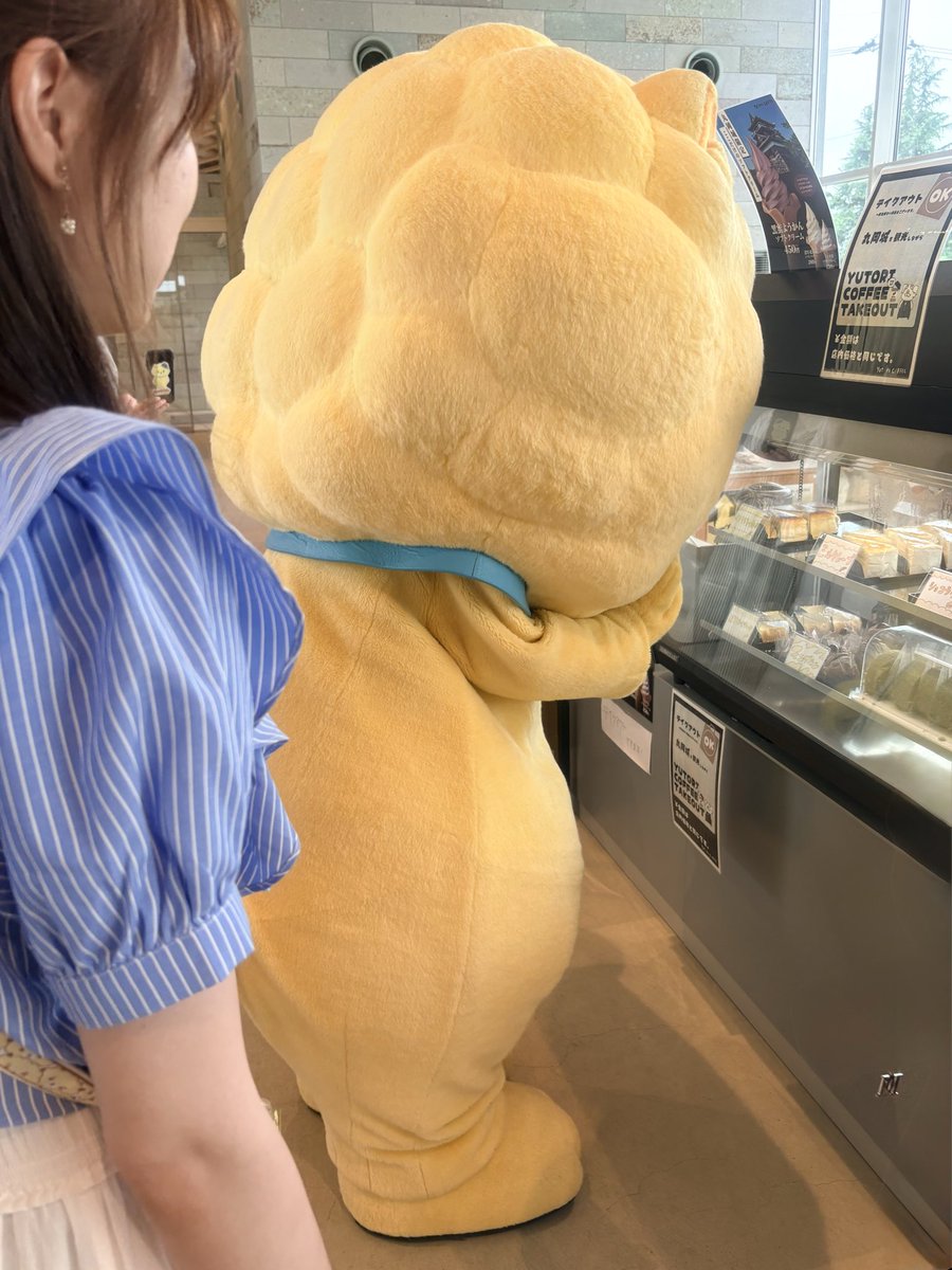 Ugo0929's tweet photo. ショーケースをガン見の
食いしん坊丸　可愛い
バイトお疲れ様でした🎋🧁

#坂井ほや丸 https://t.co/qENiQesWv0