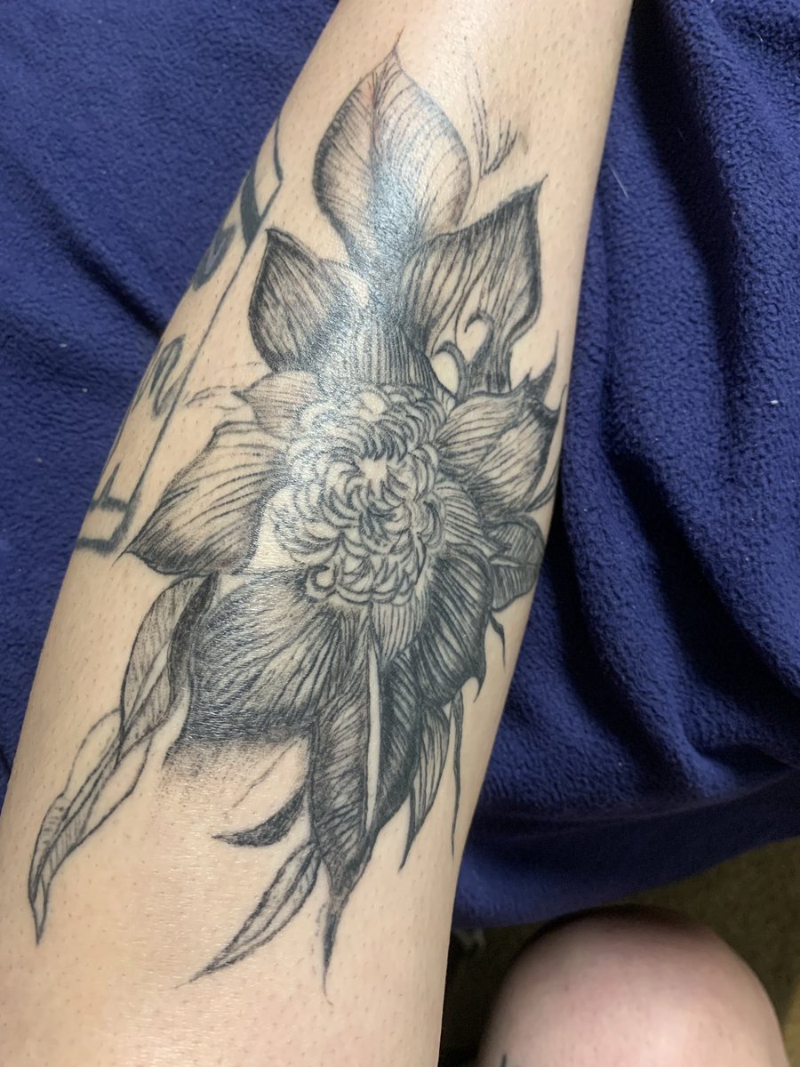 withlovebluejay's tweet photo. Tattoo I started. It’s not finished but let me know what u guys think? https://t.co/ocisVauSsH