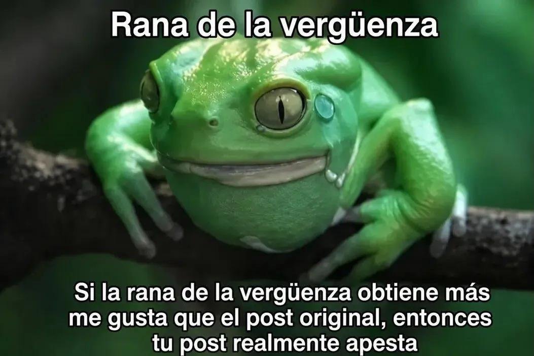 Brunoudiaz1's tweet photo. @LeanFreeM @SoyFedelobo https://t.co/SuiGqfCR2Y