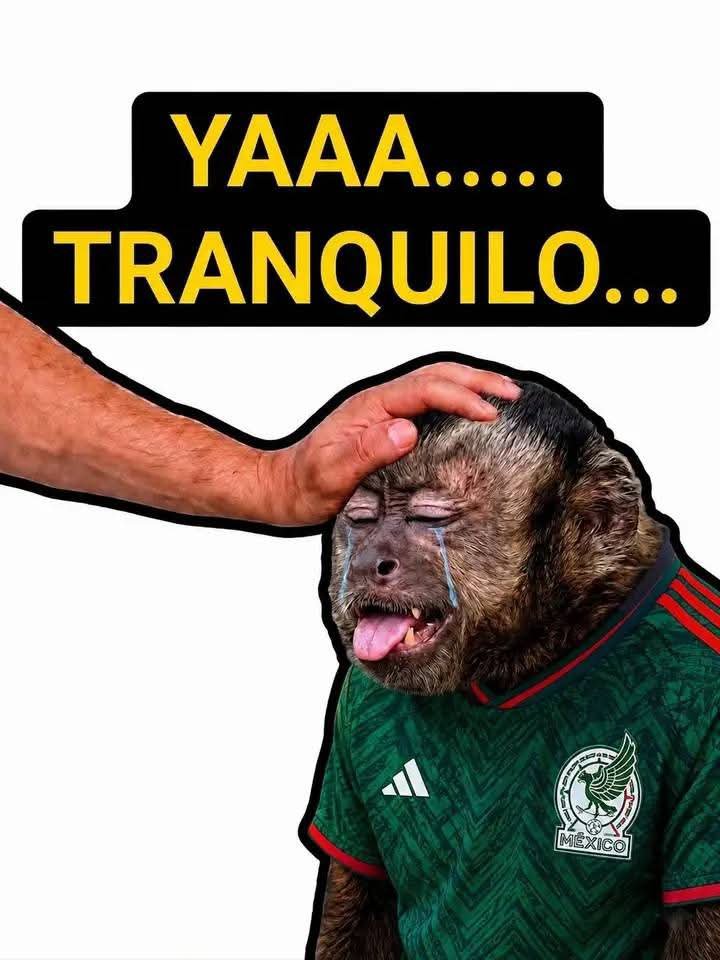 Juan20Trillo's tweet photo. @BellaIndirecta https://t.co/j1aopJPJjt