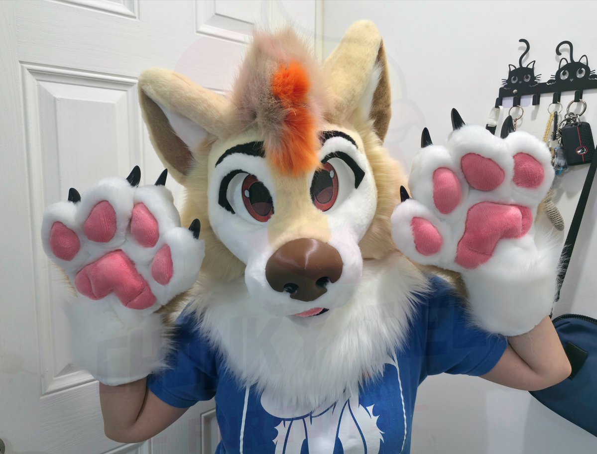 Chonky_Tiel's tweet photo. Baguette is done ✅️ and ready to go home! 🇲🇽

This time, a shiba inu joined the family! 🥰🐕

This is a mini partial fursuit that features a printed 3D base.

Hope to see baguette having lots of fun soon! 🐶

#Fursuit #Chonky #Chonky_tiel_fursuits #Chonky_tiel_creations https://t.co/NOJHMto1rk
