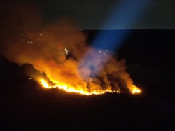 VBFD tweet media