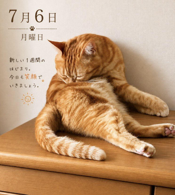 Bestluvy_ever's tweet photo. 来た頃はパサパサだった毛質はもふもふに。
ガリガリだった体も良い肉付きになった弟にゃんです。

週の始まり月曜日、おはようございます✨ https://t.co/hDqYASewEA