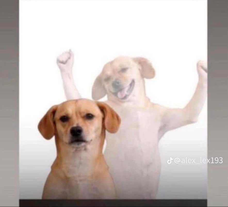 EricksonSUPRIEN's tweet photo. Mondyal la pa bèl
Brezil pa t dwe elimine
M Tris pou Neymar

Poutan Mwen ofon:🤣🤣m kontan anpilll https://t.co/ktlp0xC51d