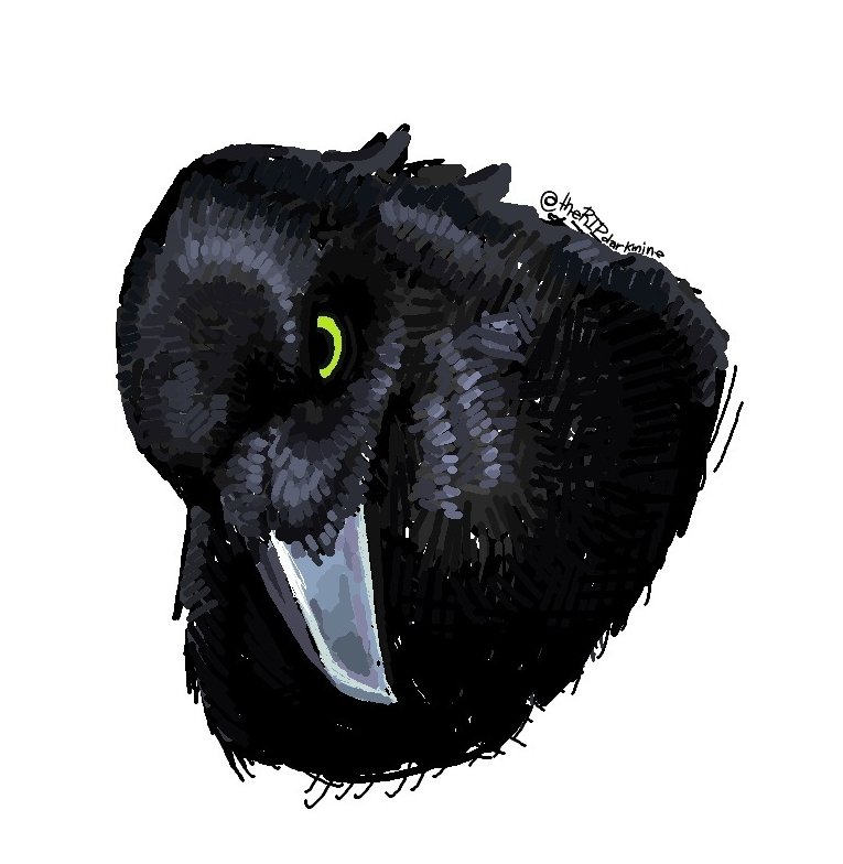 theRIPdarkmine's tweet photo. Terminado

#art #digitalart #drawing  #color https://t.co/hUkIaoe5y9