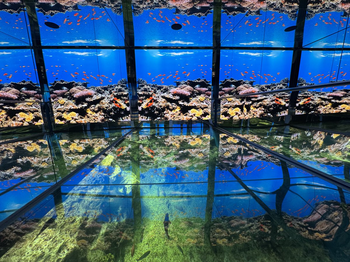 echiaqua's tweet photo. 【海洋館リニューアルオープンのお知らせ】
海洋館が7月15日（水）にリニューアルオープンいたします。 https://t.co/nQCLbQhpag