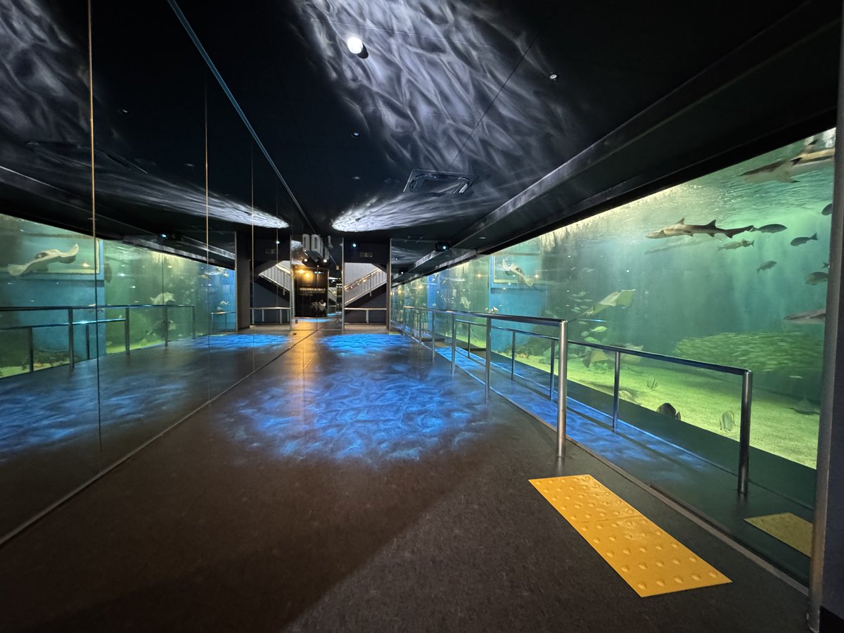 echiaqua's tweet photo. 【海洋館リニューアルオープンのお知らせ】
海洋館が7月15日（水）にリニューアルオープンいたします。 https://t.co/nQCLbQhpag