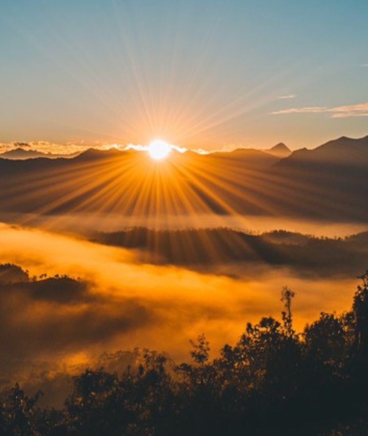 Ocampolaw_1's tweet photo. Good morning family,

"The world rarely rewards potential, it rewards action."

             ~ Anonymous https://t.co/0ORjwQTdeJ