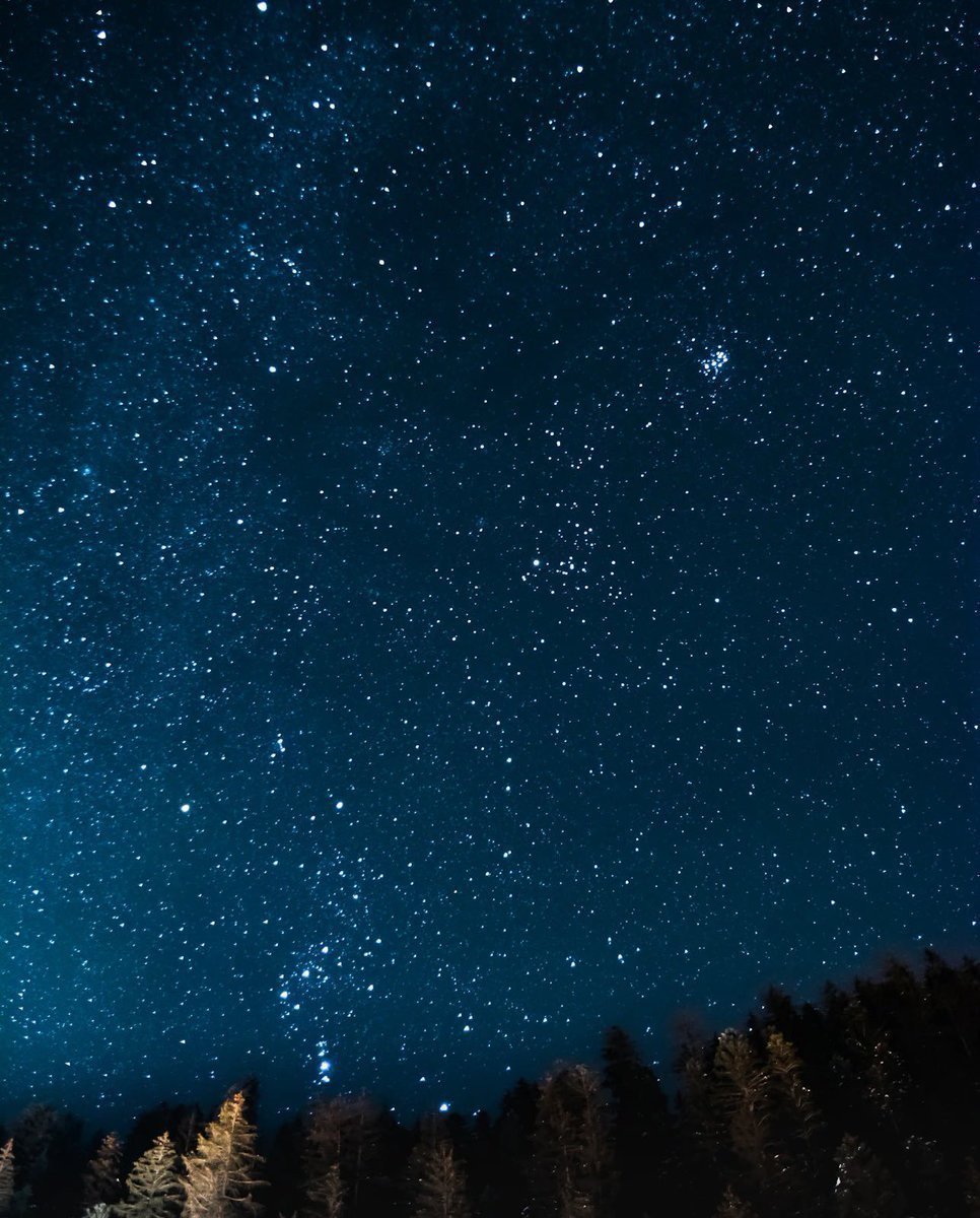 aestheticspost_'s tweet photo. Starry night. https://t.co/WRMLfbZpFH