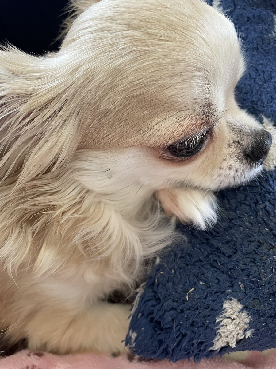 uruhanachi's tweet photo. おはよぉーございまっす

やる気スイッチ無くしましたー
どこ行った〜

って、元々あったっけ
”( ◦◜ﾟ)？
WWW

 #やる気スイッチがない https://t.co/uk7kXkJWZ2