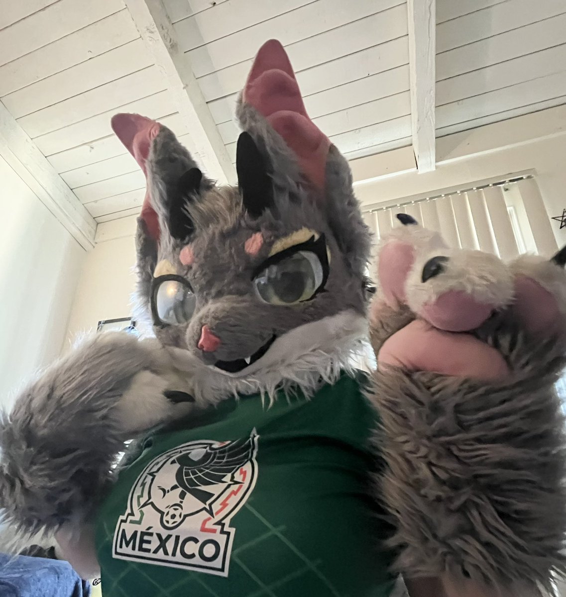 ClingyKitty0w0's tweet photo. LETS GO MEXICO!!! 
#soccer #furry #mexico https://t.co/c6MxXXDskl