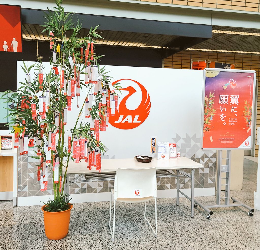 arukuz's tweet photo. 明日は七夕🎋
 #JAL https://t.co/M9h7xbDPVa