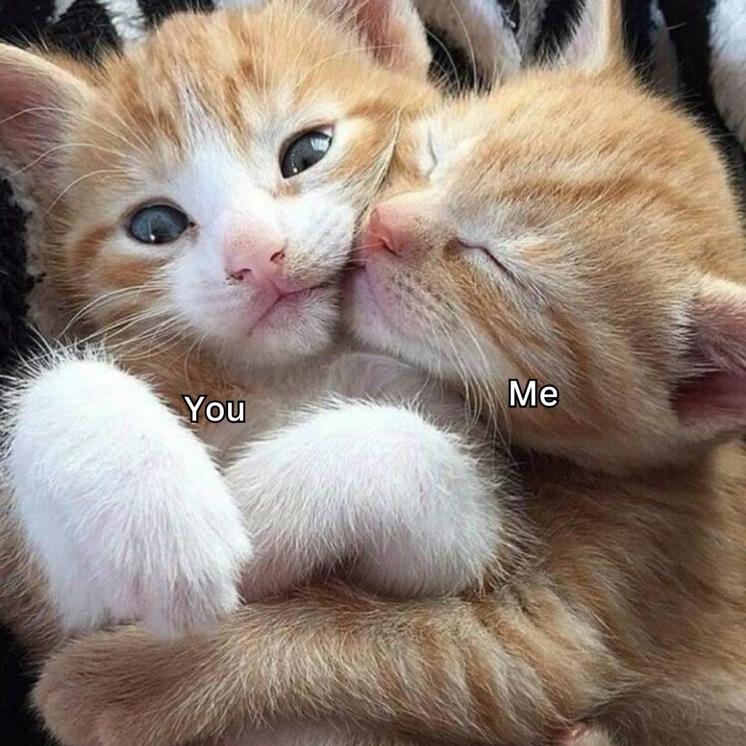 catsworldaura's tweet photo. https://t.co/76t9MCVqF6