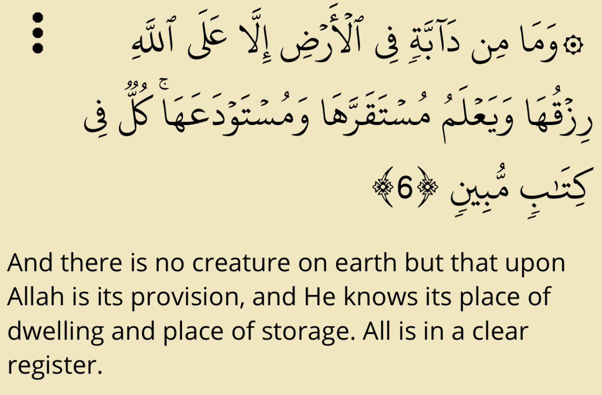 khalifapasali's tweet photo. Keep your heart pure and clean. Allah (SWT) has promised that what is meant for you will surely find you. “There is no creature on earth except that its provision is upon Allah.” (Qur’an 11:6)

Stay humble, for humility is beloved to Allah and arrogance leads to downfall.

Pasali https://t.co/TYaghLjjpr