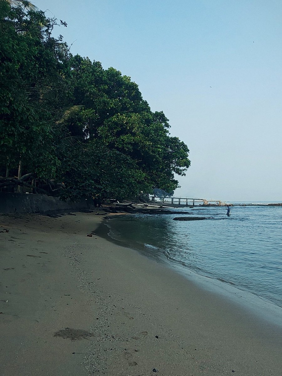 pistazein's tweet photo. today's morning read and the little corner where i got to enjoy it. couldn't have asked for a better monday morning. https://t.co/sVPXStucJF