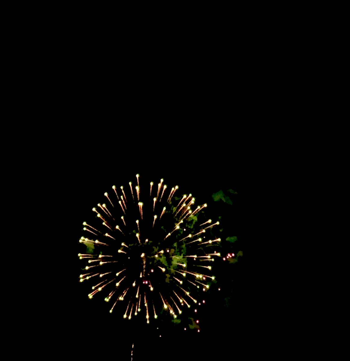 oncloud92_bitch's tweet photo. only picture I took on the 4th but it’s so cute 🎇 https://t.co/RiOS7dGdTe