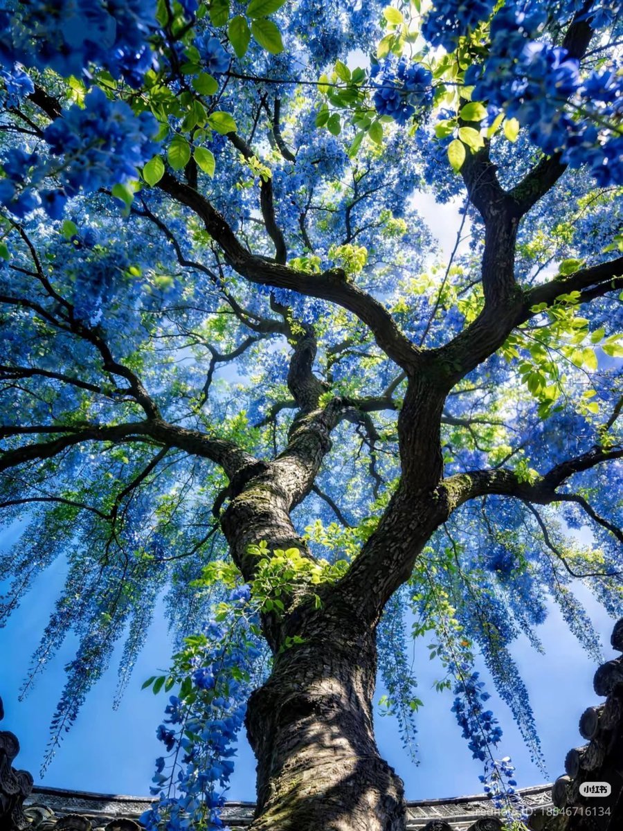 lunecrumbss's tweet photo. nature dressed in blue and green https://t.co/ycNUzA55mc