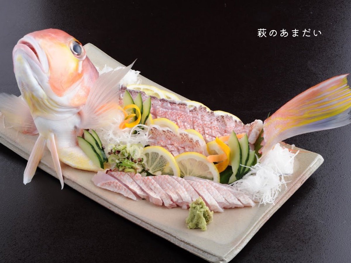 hagi_burari's tweet photo. 萩市の美味しいグルメは？
 
萩の瀬付きあじ、萩のあまだい、萩のけんさきいか、萩の真ふぐ・・・
なんと言っても、新鮮な海鮮です！🐟
「萩のお魚を食べたら、よそのは食べられない」
そんな、市内外から人気の高い、萩自慢のお魚をぜひご賞味ください！🍽️

#山口県　#萩市　#萩旅 https://t.co/PrAZEQa1nK