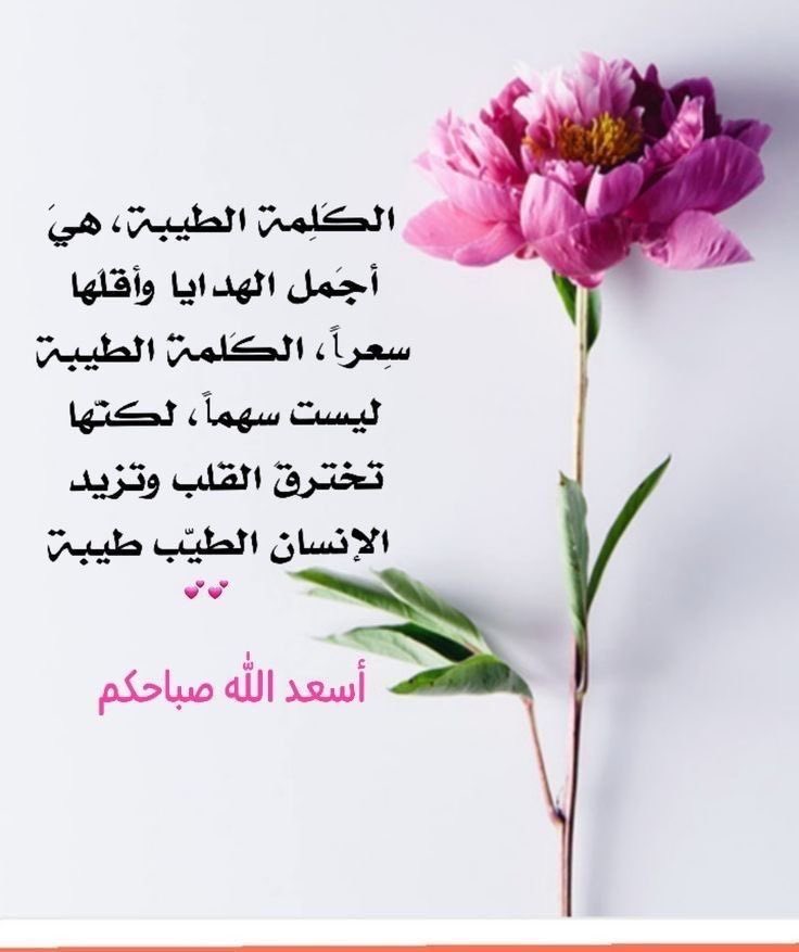🇸🇦 💚تــذكــااار ✨🇸🇦 tweet media
