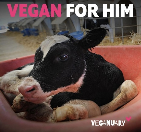 WhyNotVeganism's tweet photo. https://t.co/NuJ5W8Fu4r