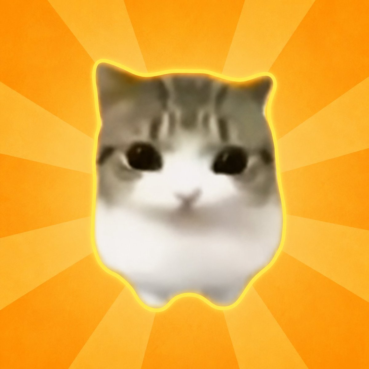 astroxbtttt's tweet photo. Was scrolling the other day & found this new brain rot Cat ALL over my FYP & normies are loving it 😼

Was looking for the ticker to buy it but could not find it & was HELLA confused $DAM is blowing up like NUTS?

https://t.co/tRQ2wvh2dd

https://t.co/OhCRLjsV06

https://t.co/tTtTWQiPjL

https://t.co/tTtTWQiPjL

https://t.co/RxcxjHxhCz

ALL THIS WEEK 15M + views in THESE ALONE.⤴️

LITERALLY JUST SEARCH UP DAM DAM DI DI & SEE FOR YOUR SELF WE WILL TAKE OVER.

People are comparing Dam Dam to Tripple T & so on when have we seen an animal THIS viral? 

Millions for dam.