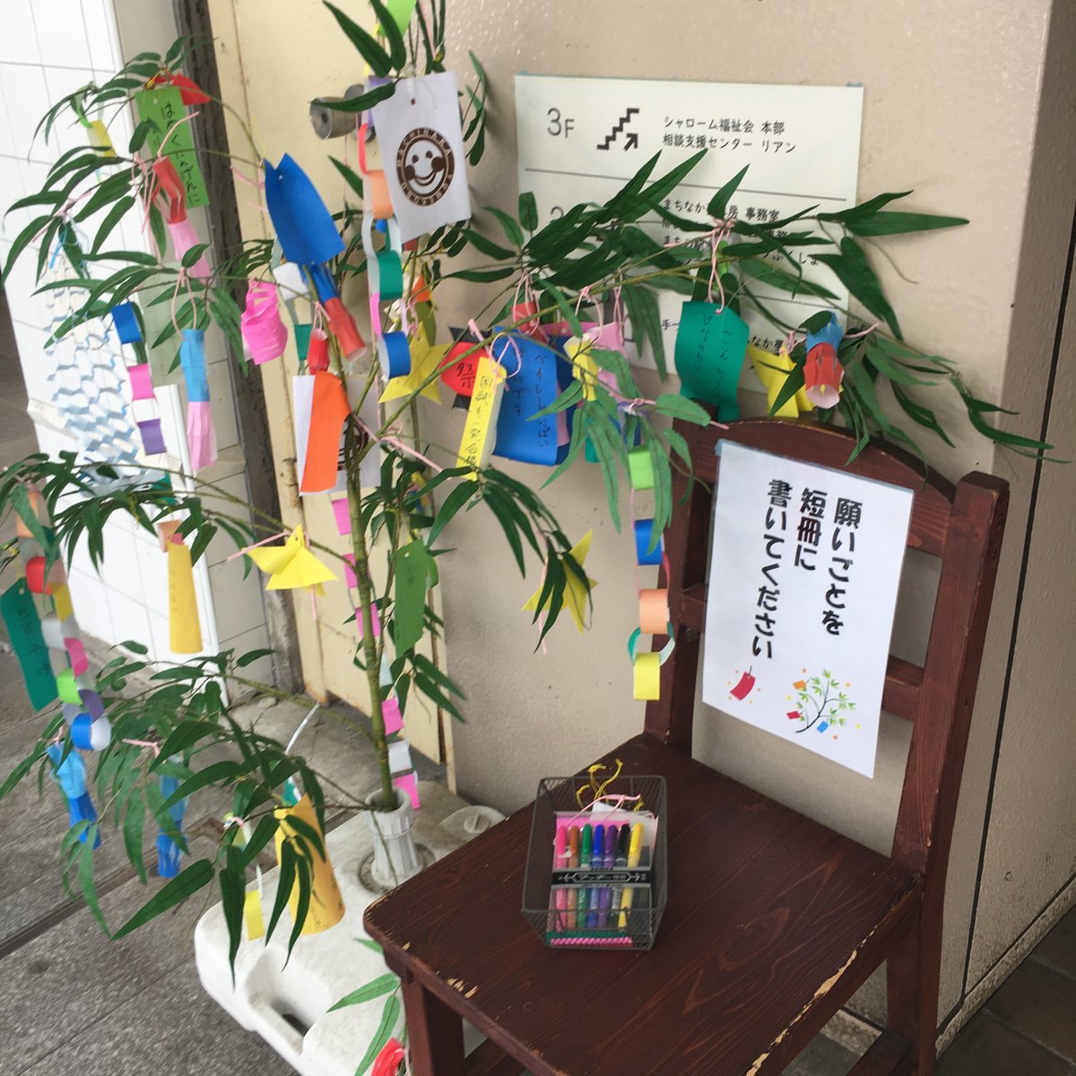 yumekobo009's tweet photo. まちなか夢工房、１１時開店です🎋
(1)お店の横の短冊に願いをかいて飾ってみませんか？
(2)新作パン好評販売中！気になる方はお早めに！
#まちなか夢工房
#手づくりパン
#珈琲舎雅
#福島市
#本町
#パセオ通り
https://t.co/wb3gp5Thx3 https://t.co/RtZv730RR0