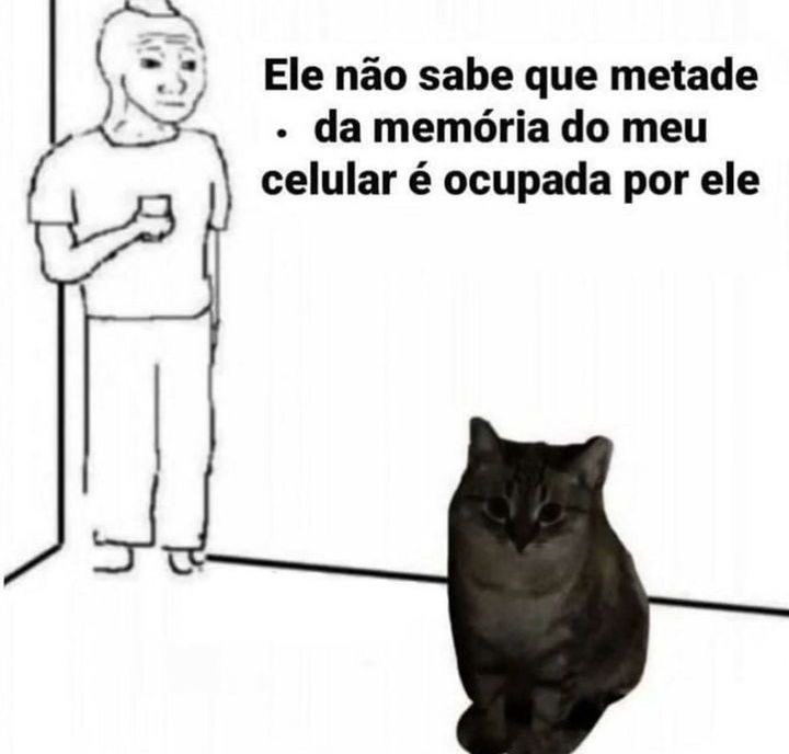 shitpostverdade's tweet photo. https://t.co/H5yLSpnSgS
