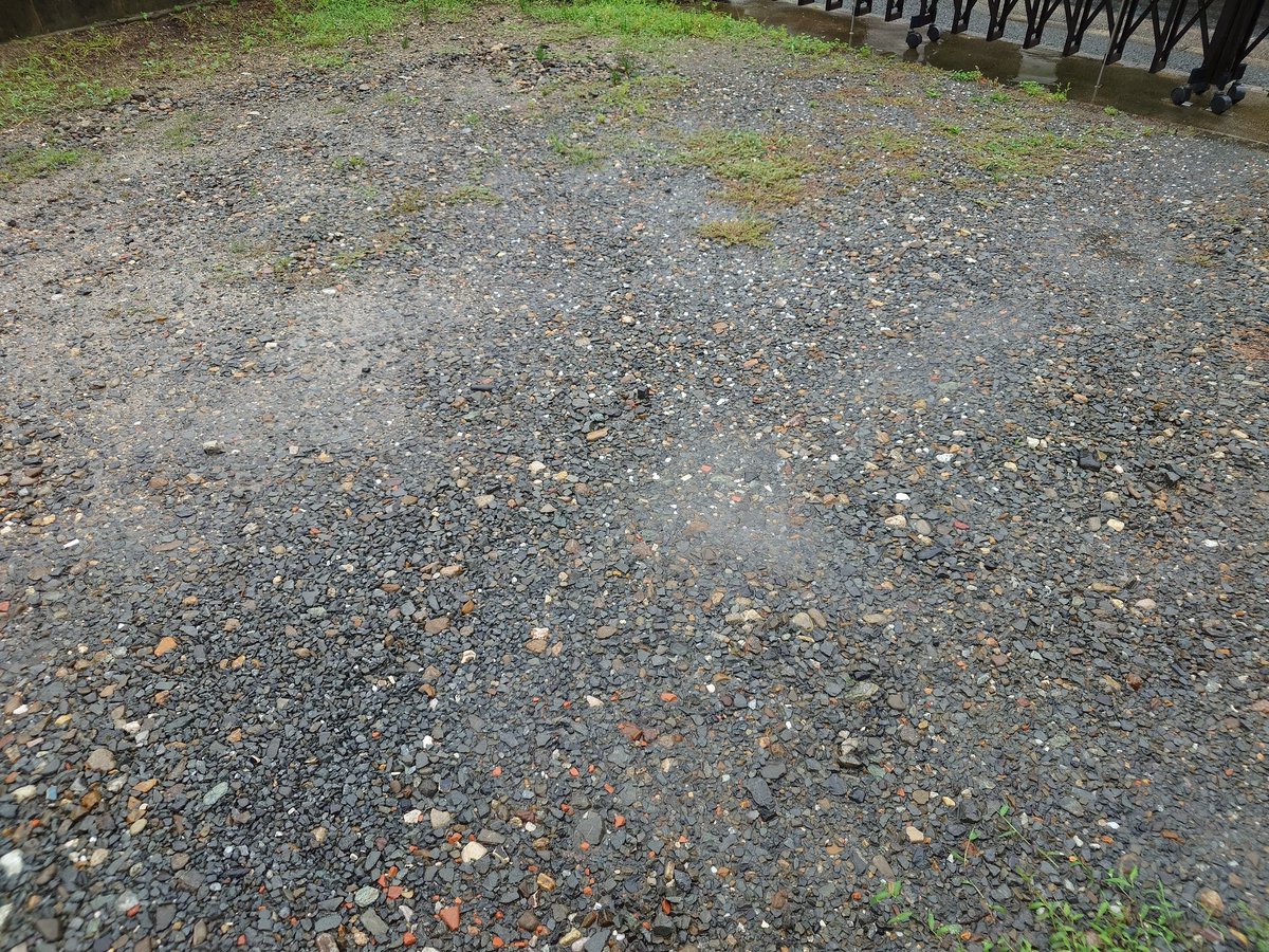 jastem64's tweet photo. サーレベルの雨が降り続いています。
（京都市南区）
#ウェザーリポート
#ウェザーニュース https://t.co/KGUIibt4Od