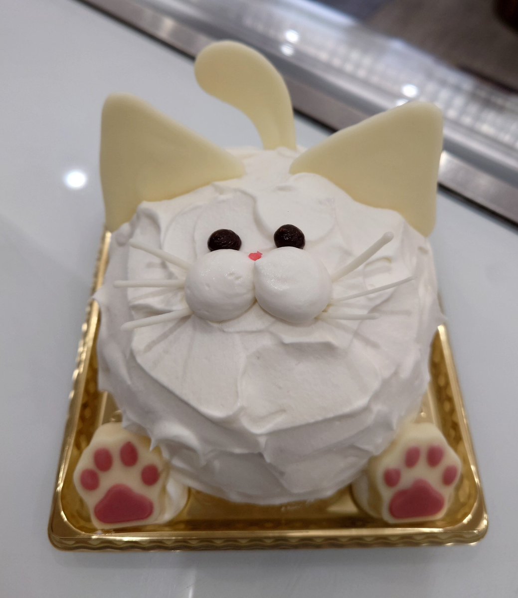 kasiwasan1230's tweet photo. ねこケーキ🐾 https://t.co/pvp0bcQZtd