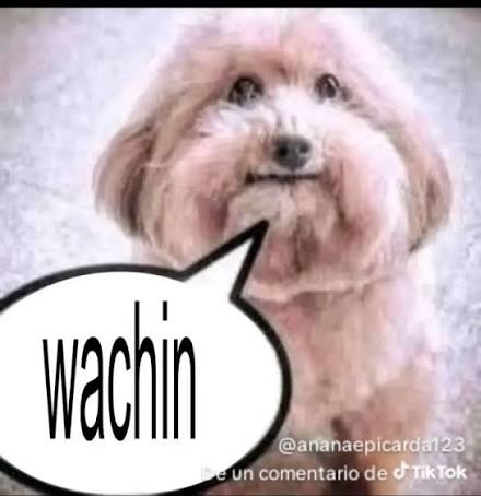 arcn_e's tweet photo. @giaantv @iflexvega @Conterstine @SeFiroox @Shadoune666 @coldifiedd https://t.co/Utz2hhpeae