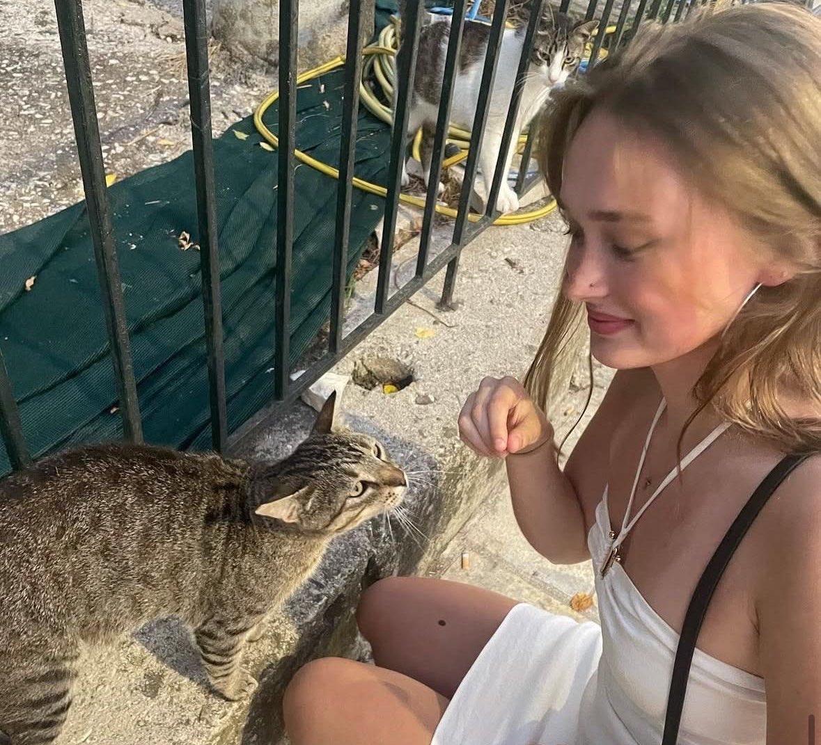 ivrshayes's tweet photo. sweet india with kittens https://t.co/apyGVKZpLg