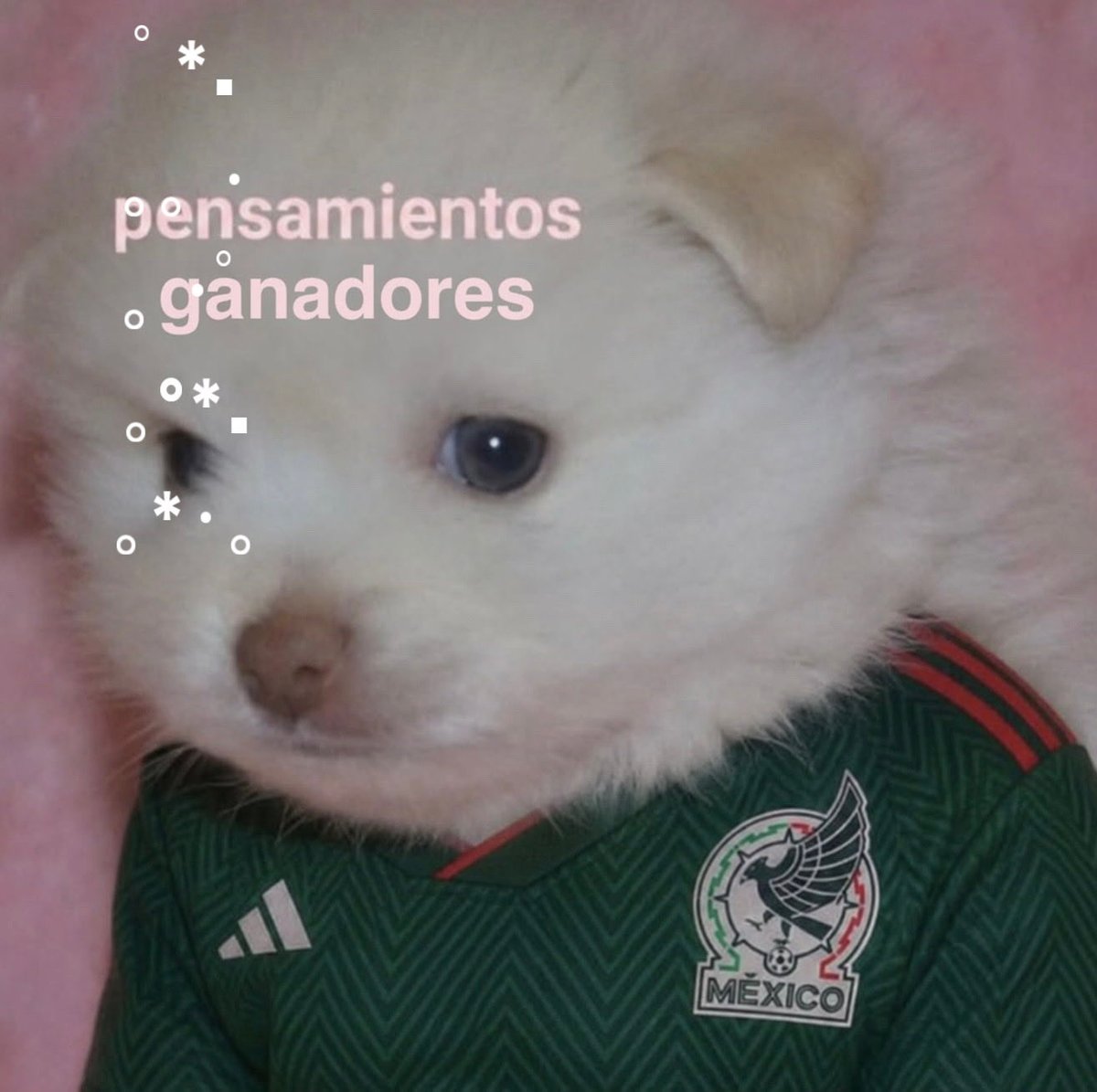 SrtaAguila's tweet photo. ･ *ﾟ
　 ･ ﾟ*
     ･｡     
   *･｡
      *.｡ 
           ｡･
              °*. ﾟ
Polvitos para que México le de la vuelta.
                      ﾟ*.
                 ｡｡ ･
             ｡ ･ﾟ
       ｡°*.
   ｡*･｡ https://t.co/fOo0u3FwR2