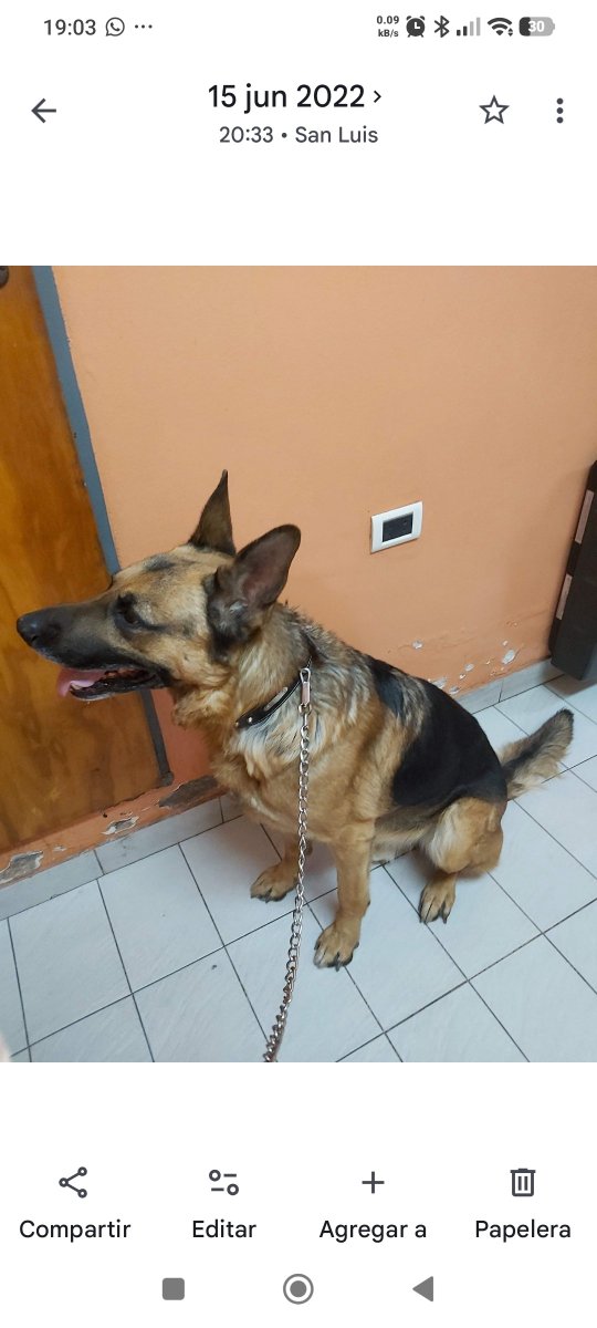 Noevillagragat's tweet photo. Hasta pronto estrellita 🌈
Nada va a ser igual sin tu presencia. https://t.co/s91YR9jtfg