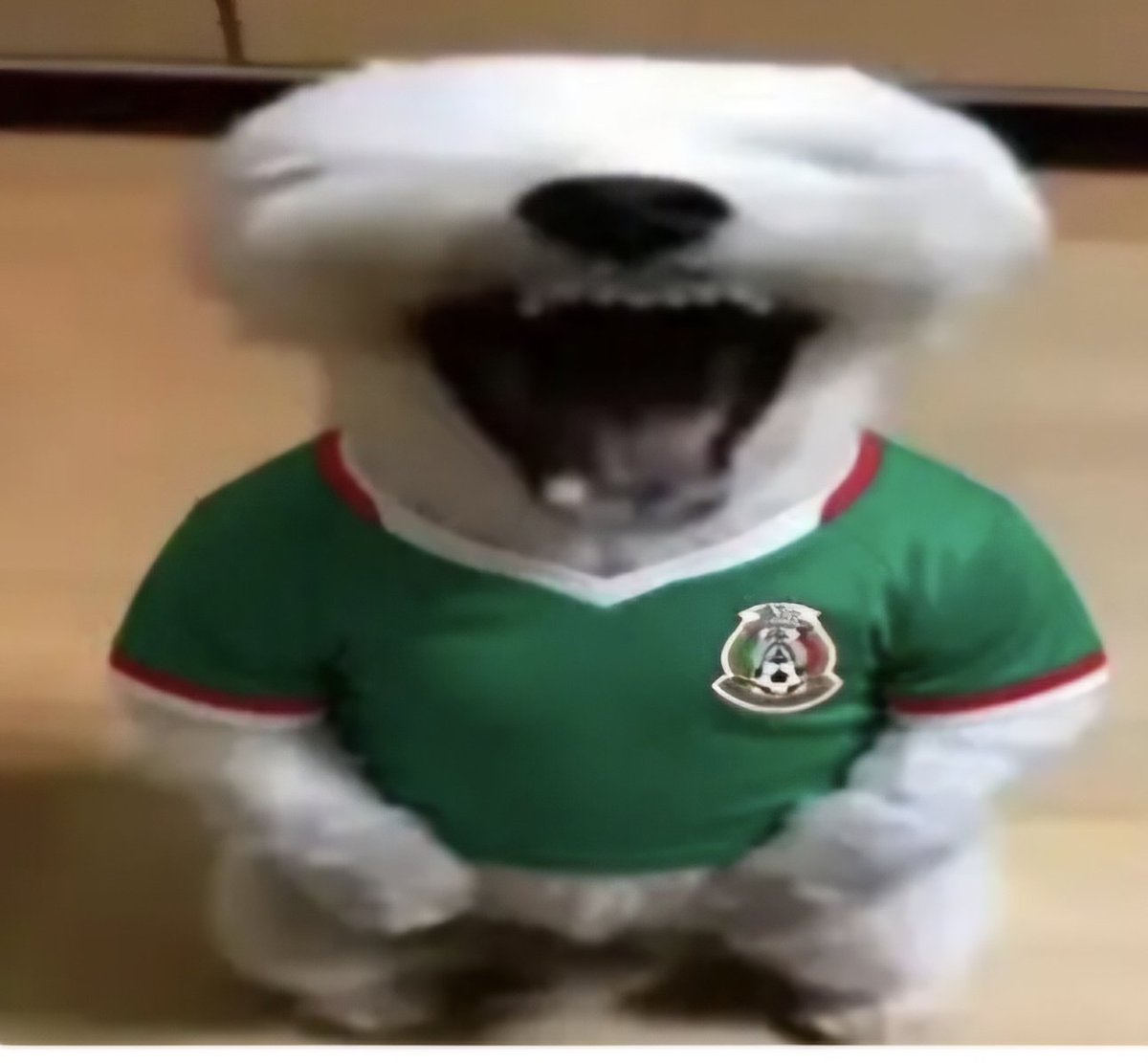 jonadrow's tweet photo. @InvictosSomos Van perdiendo por jugar mal, no como otros pendejos qué dicen que los amenazaron, no hay pedo ahorita habrá una remontada historica https://t.co/cK8kAJazTo
