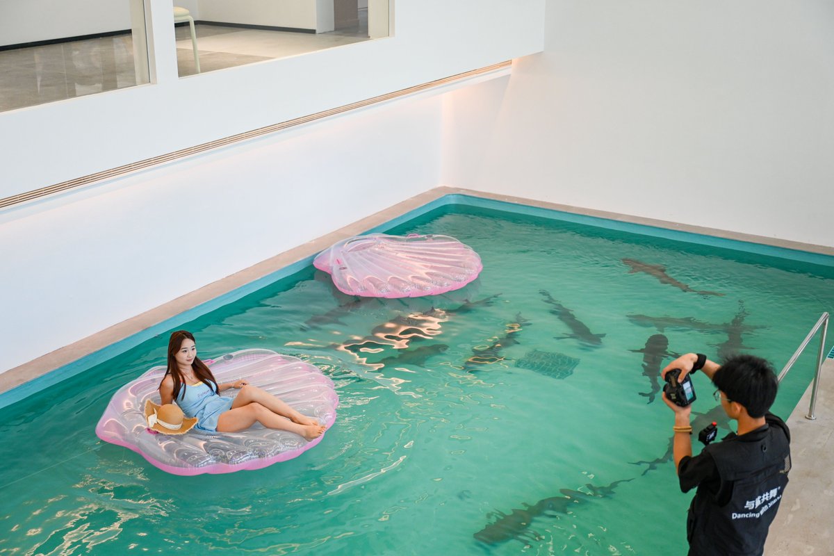 pingtanchina's tweet photo. 🦈 New upgrade at Pingtan's #DancingWithSharks!
🐚 Shell hovercraft or “glass” boat —
which one's your pick?Either way, you're walking away with stunning shots📸
Come try!
(Photo by Lin Junbin & Wu Mengting)
#Pingtan #NewSpot
@DynamicJiangxi @China_Amb_Mdv @ChineseEmbKenya https://t.co/A7hy9gYDPB