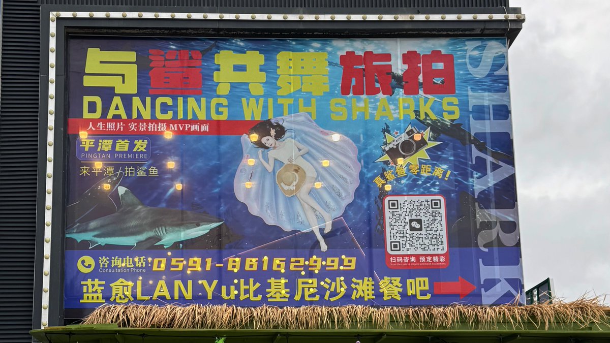 pingtanchina's tweet photo. 🦈 New upgrade at Pingtan's #DancingWithSharks!
🐚 Shell hovercraft or “glass” boat —
which one's your pick?Either way, you're walking away with stunning shots📸
Come try!
(Photo by Lin Junbin & Wu Mengting)
#Pingtan #NewSpot
@DynamicJiangxi @China_Amb_Mdv @ChineseEmbKenya https://t.co/A7hy9gYDPB