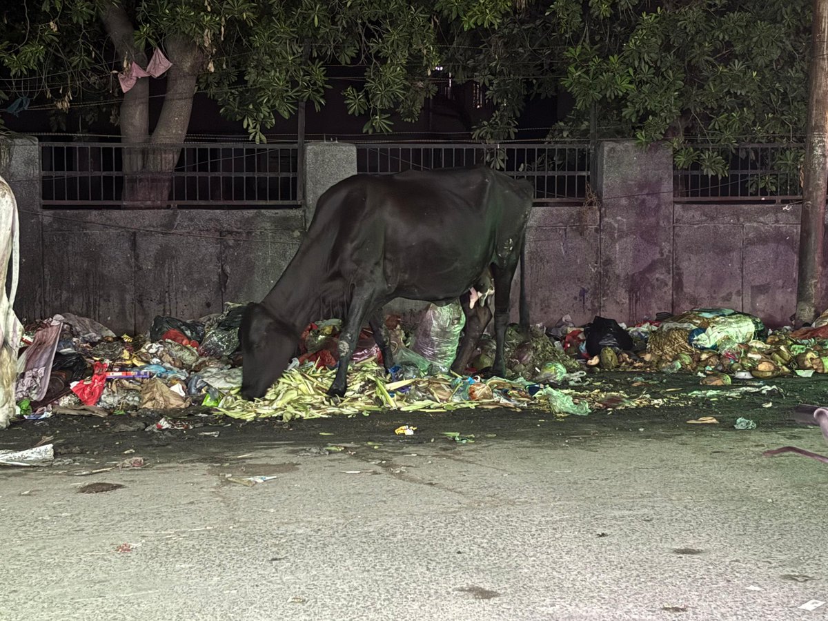 Gejhasector93's tweet photo. @noida_authority @CeoNoida @dmgbnagar @PankajSinghBJP @myogiadityanath @CPCB_OFFICIAL @CMOfficeUP 
नोएडा अथॉरिटी हेल्थ डिपार्टमेंट से पूछना चाहता हूँ गेझा में इंसान नहीं रहते हैं क्या इतना बुरा हाल है इस गेझा बारात घर के पास बदबू से हाल बेहाल आख़िर उसे यहाँ से कब शिफ्ट करवाओगे ? https://t.co/vJnoZ8JTaQ