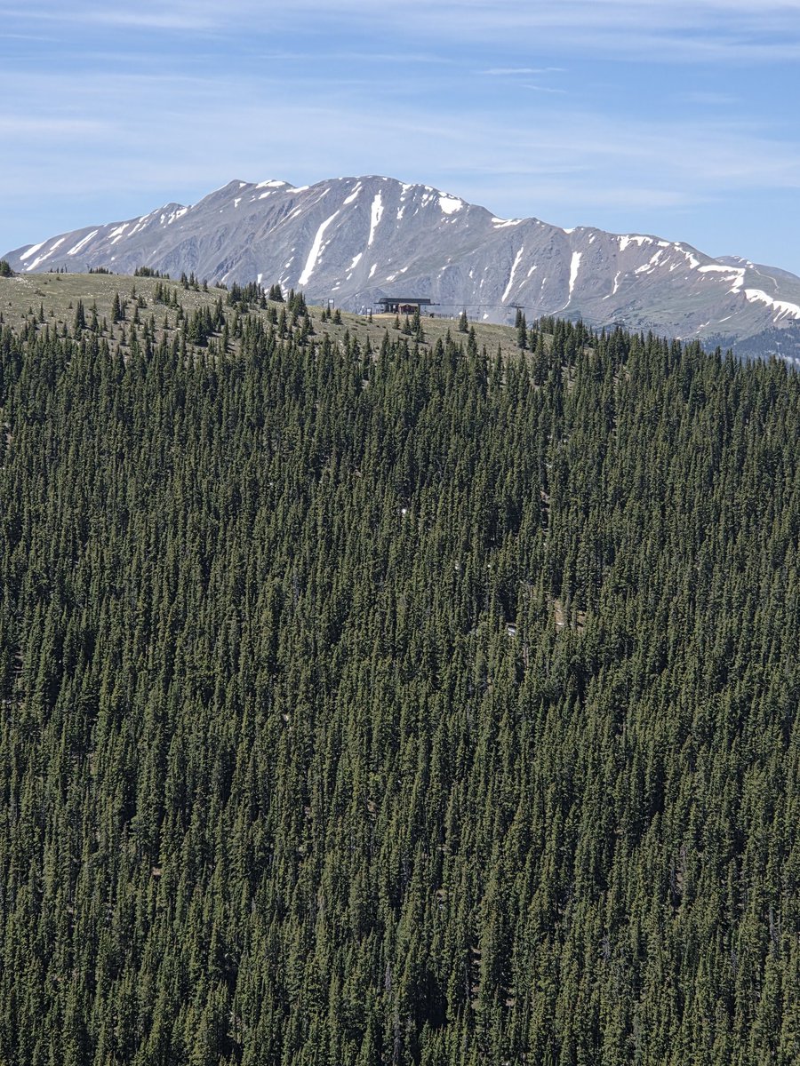 ViewFromTrails's tweet photo. A View of the Outback Chairlift at the Keystone Resort from the Keystone Gultch Road...๐ฒ๐๐โท๏ธ๐๐ฒ
Photo Elevation 11,936 Feet...โ๏ธ๐บ๐ฃโ๏ธ
#MountainLife โฎ๏ธ
#PeaceOut โ๏ธ
#SummitCounty
#Keystone โค๏ธ
#Colorado
๐ท Photo Date June 18, 2026 ๐ https://t.co/zDqqj4ue81