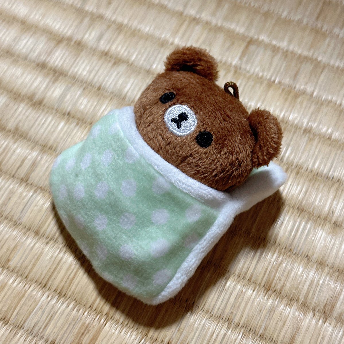 Mihonggi's tweet photo. セリアでミニおふとん発見💡
クリーナーちゃんサイズにピッタリでした🥹 https://t.co/WJ4YWWjBGT
