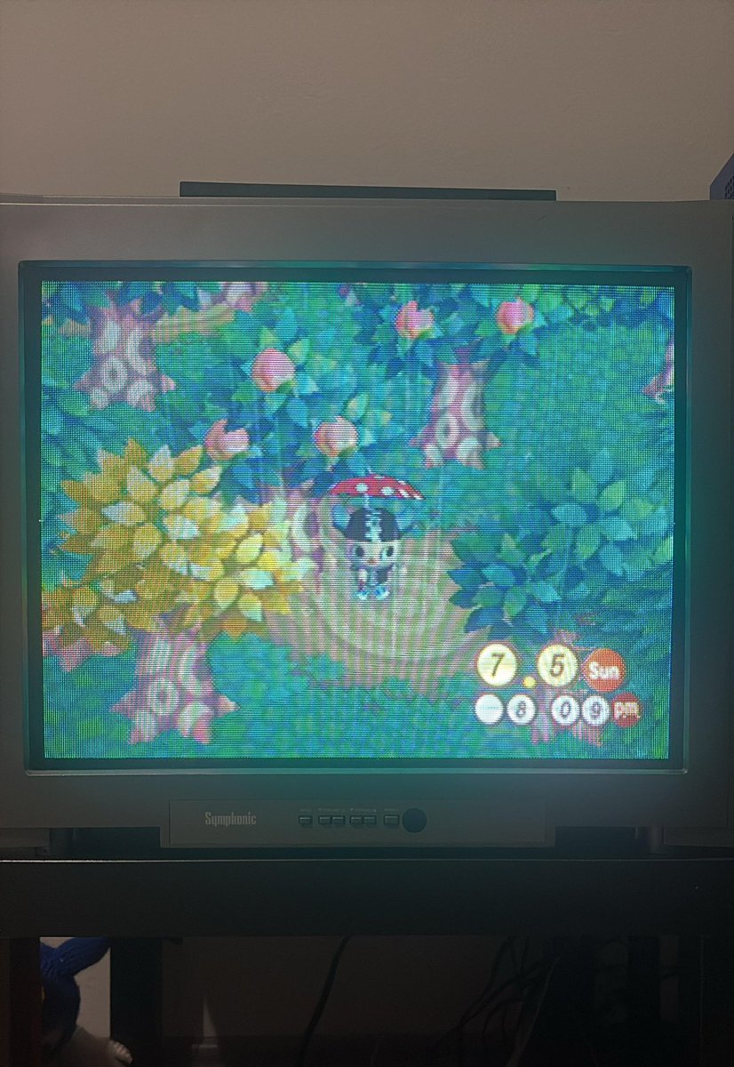 SntgWt's tweet photo. Este es mi animal crossing favorito https://t.co/00ZzaLmrlh